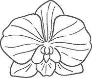 Flor decorativa