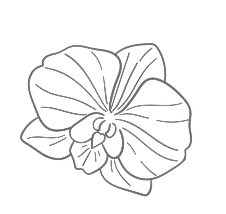 Flor decorativa